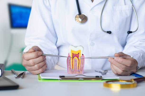 Best Emergency Wisdom Tooth Extraction in Shady Hollow, TX